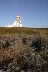 Lighthouse of the Pointe des Poulains Belle Ile en Mer