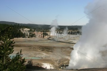 Hot water and fumaroles in Noris Geyser Basin USA