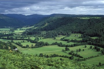 Paysage de bocage en vallée de la Maronne Monts du Cantal