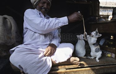 Mann  der mit Cats Mysore Indien spielt