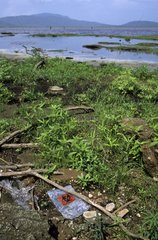 Biohazard -Plastiktüte in der Natur in der Nähe eines Sees Nicaragua