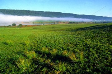 Valley of Rousses and bench of fog in autumn [AT]