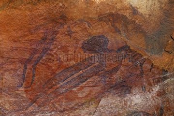 Cave paintings aboriginals type bradshaw Australia