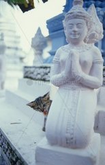 Rinnenkätzchen hinter einer Cambodge -Statue