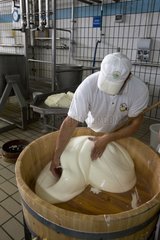 Worker stirring pulp mozzarella in a barrel