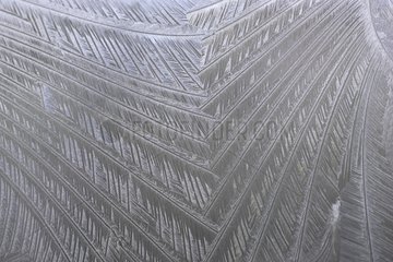 Frost on a tile of greenhouse unheated