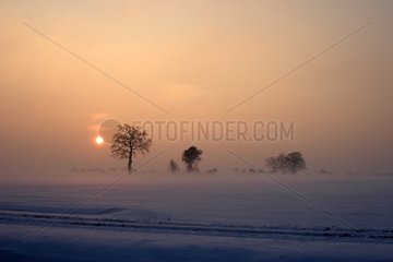 Brume au lever du soleil sur une plaine enneigée Normandie