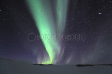 Aurora Borealis Grönland