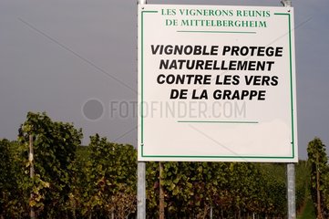Panel of information on protection of the vineyard Alsace