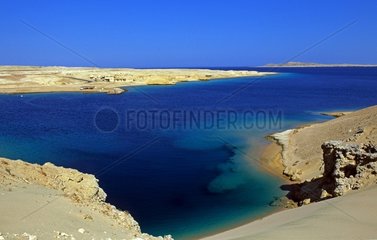 Desert shore of the Red Sea Ras Mohamed NP Egypt
