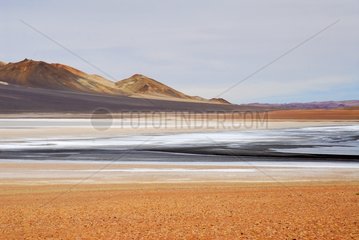 Salar de Aguas Calientes Los Flamencos reserve Atacama Chili