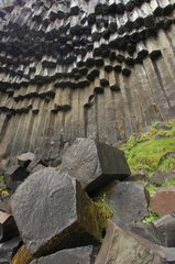 Basalt organ pipes of Svartifoss Iceland