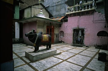 Ort der Anbetung in Nandi Mandi Himachal Pradesh Indien