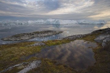 Felende Küste mit kleinem Wasserpool und Eisberg Grönland