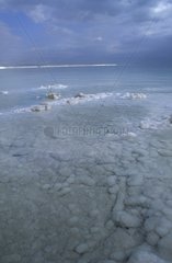 Concretions salt Dead Sea Israel