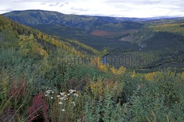 Valley with the colors of autumn and river Alaska
