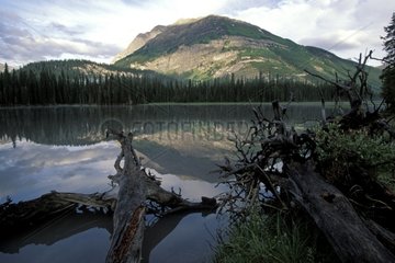 Petit lac dans les Montagnes Rocheuses Alberta Canada