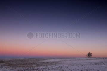Winter twilight on a landscape of countryside France