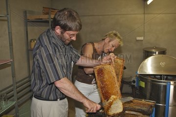 Honig in der Honigfaktor Baie de Somme Frankreich einnehmen