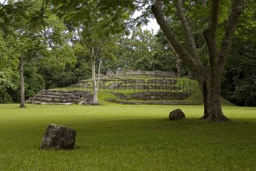 Ruins of a Maya temple in the jungle Mexico