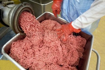 Zubereitung von Hackfleisch in einem Schneidwerkstatt