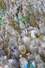 Multitude of abandoned plastic bottles Chile