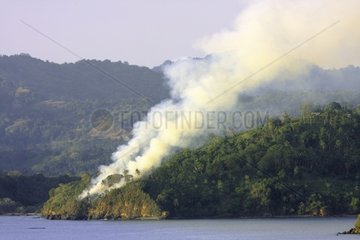 Entwaldung durch Verbrennung von Landwirtschaft in Mayotte