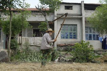 Alter Bauer im Prozess der Bekämpfung des Geißel Hubei China