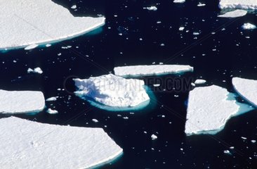 Grönland fragmentiertes Packeis