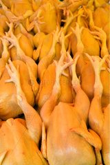 Stall von Poultrys auf dem Markt von Kuching Borneo