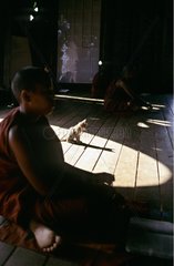Monks praying and cat inside a monastery Burma