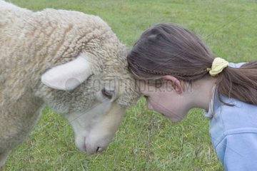 Kopf mit Kopf zwischen Mädchen und Schaf Frankreich [at]