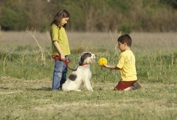 Enfants et chien bâtard jouant à la balle