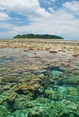 Seen from Pulau Sipadan Island at low tide Malaysia