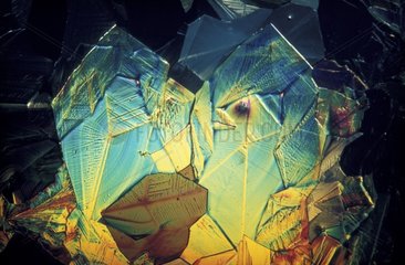 Cristal d'acide citrique en microscopie