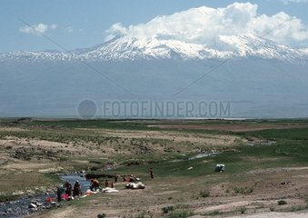 Wäsche von Wolle zum Fuß des Mount Ararat Truthahn