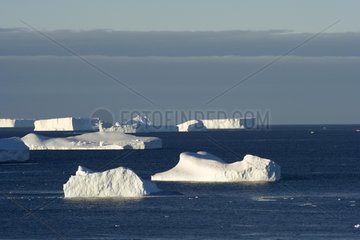 Icebergs in Antarctic ocean Terre Adelie