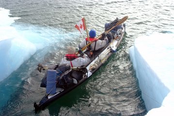 Progression in kayak among icebergs Arctic