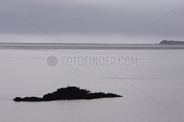 Silhouette of a small island Iceland