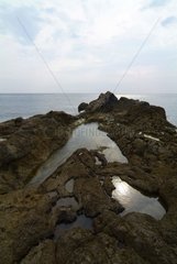 Water puddle pools on eroded Rocks Méditerannée Coast