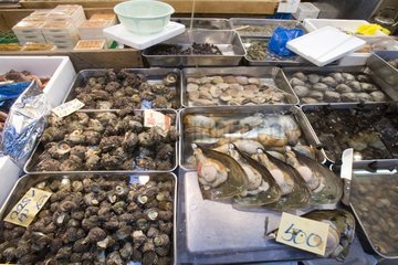 Molluscs und Muscheln Fischfischmarkt von Tsukiji Tokyo Japan