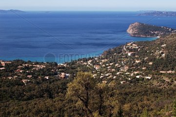 Baie du Rayol et Cap Nègre Côte d'Azur France
