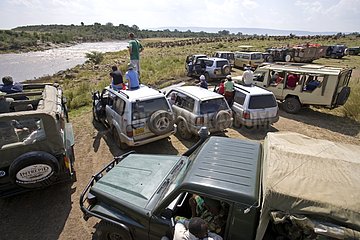Tourists waiting for the passage of Wildebeests Masai Mara
