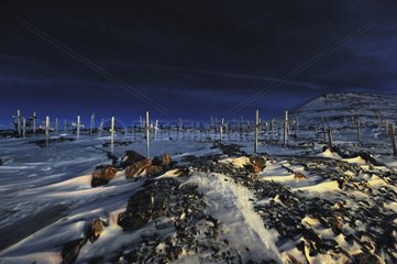 Friedhof IttoQqorttoOmiit Moonlight Grönland