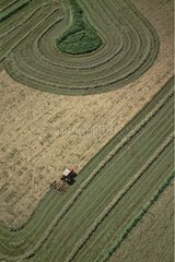 Mechanized haying seen from the sky