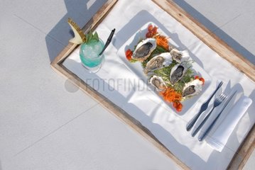 Plateau with plate oysters and cocktail Ibiza Spain