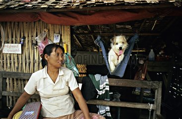 Begleithund sitzt in einer winzigen HÃ¤ngematte Myanmar