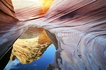 Petrified Dunes The Wave in Paria Canyon Arizona USA