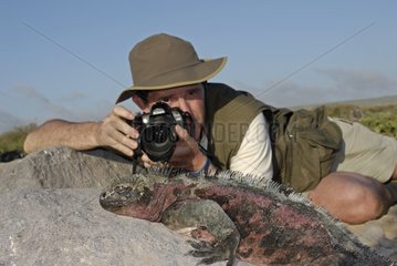 Animal photographer and marine iguane on a rock Galapagos