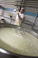 Mixing milk curd for the manufacture of mozzarella